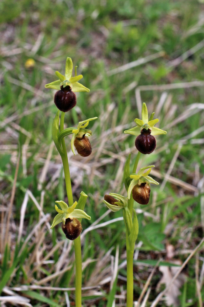 2014_04_23_00041224p_Bildgr��e �ndern