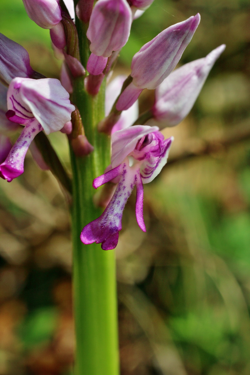 2014_04_23_00041227p_Bildgr��e �ndern