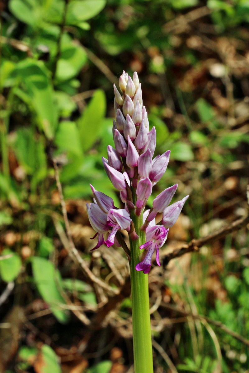 2014_04_23_00041233p_Bildgr��e �ndern