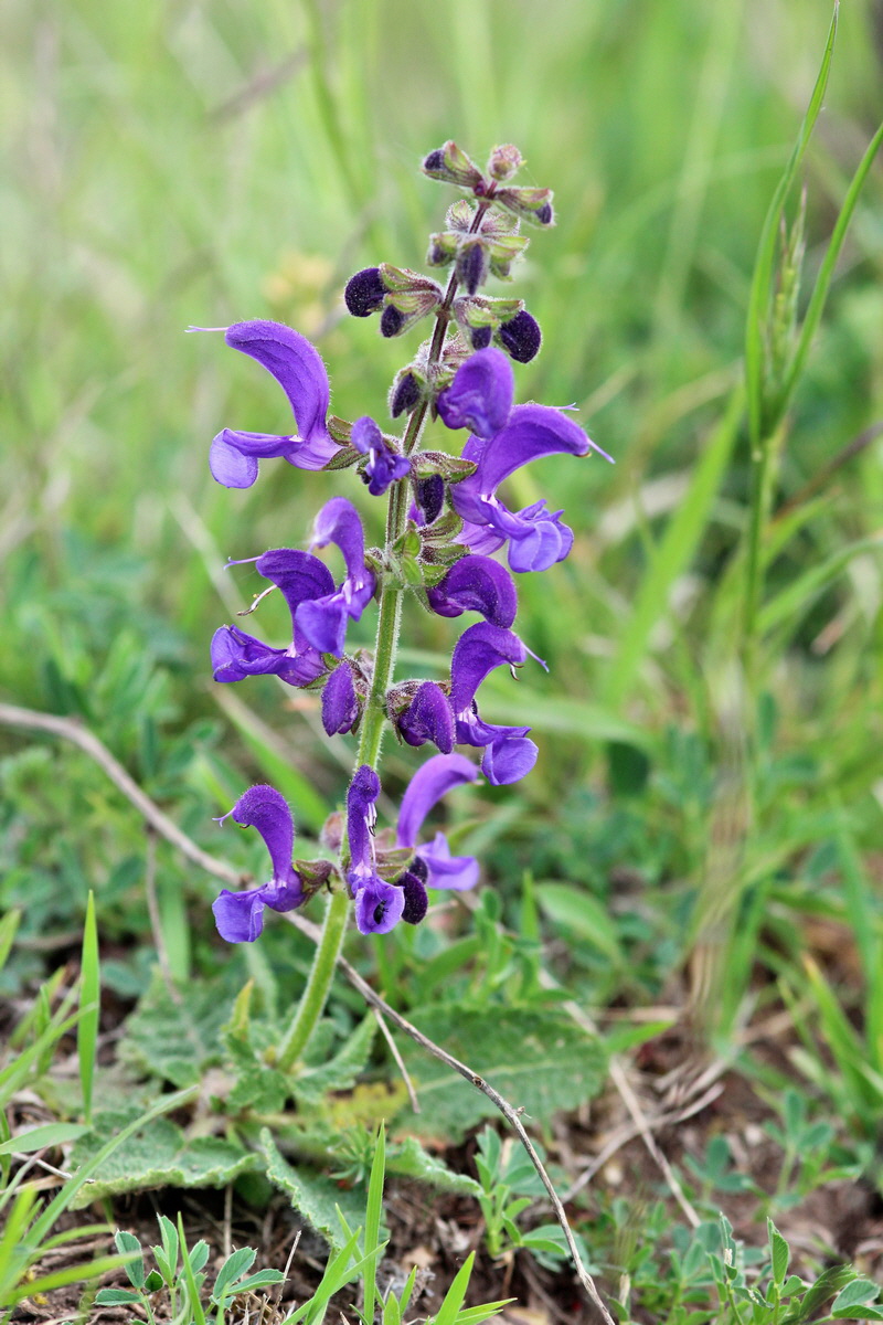 2014_04_27_00041237p_Bildgr��e �ndern