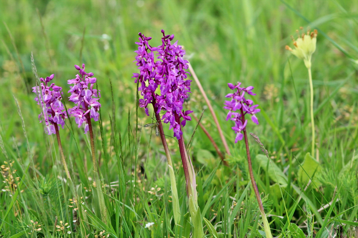 2014_04_27_00041242p_Bildgr��e �ndern