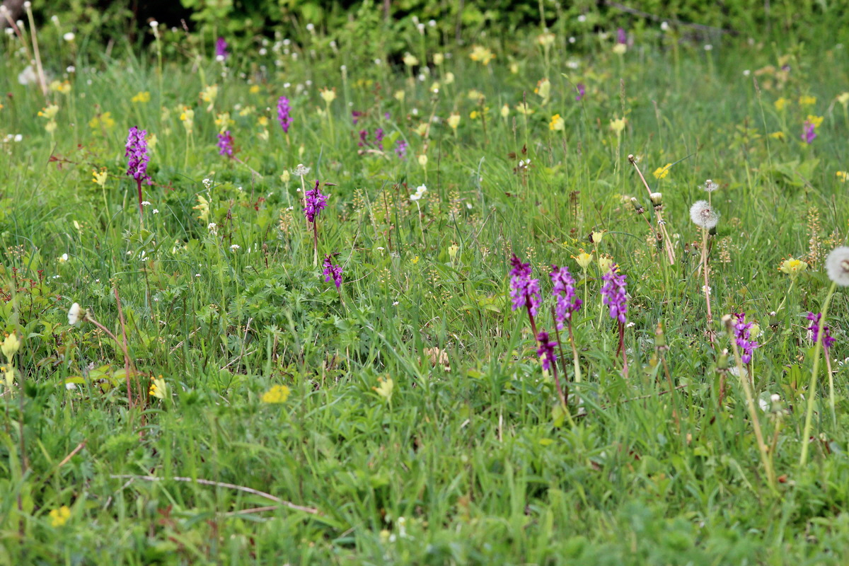 2014_04_27_00041255p_Bildgr��e �ndern