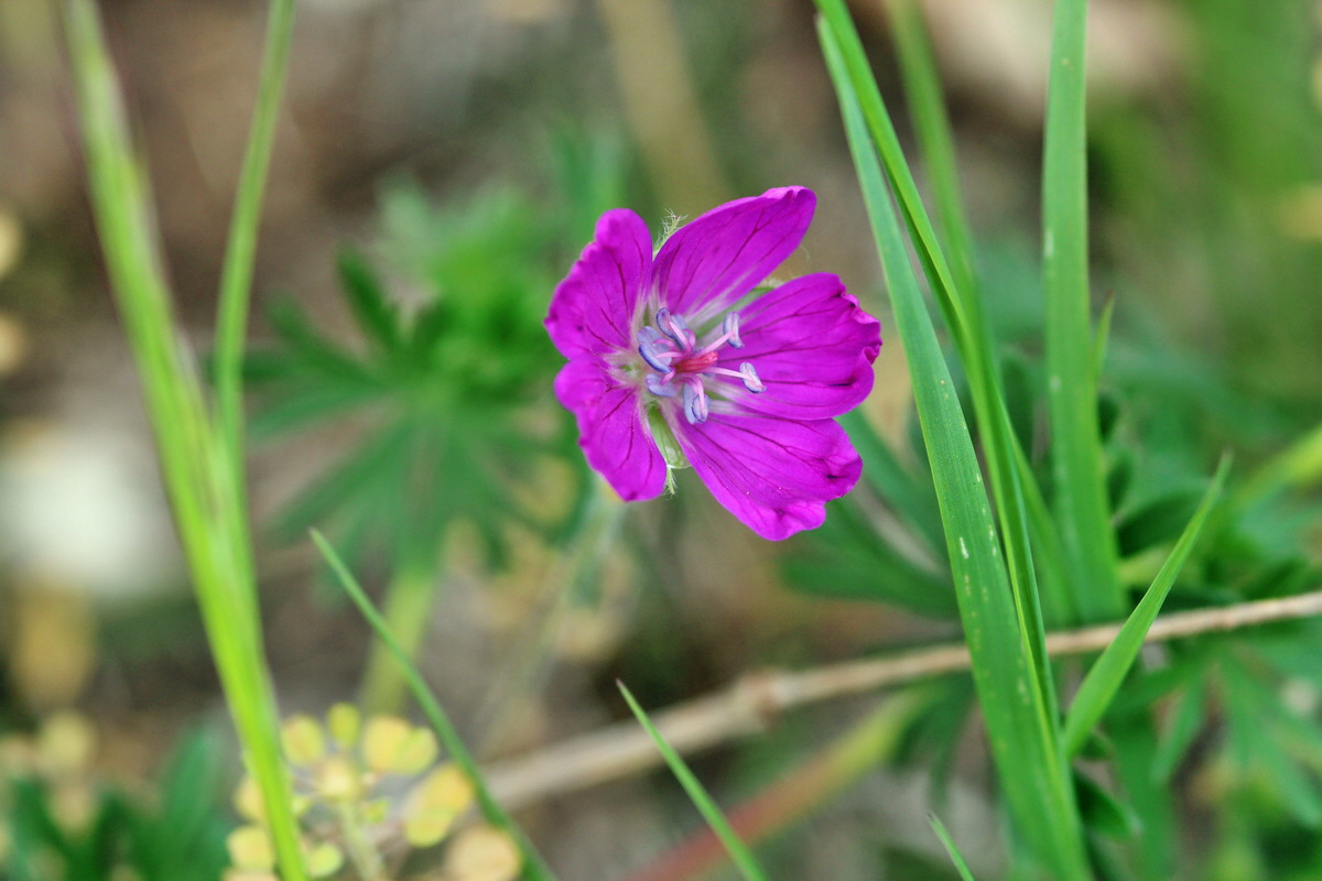 2014_04_27_00041264p_Bildgr��e �ndern