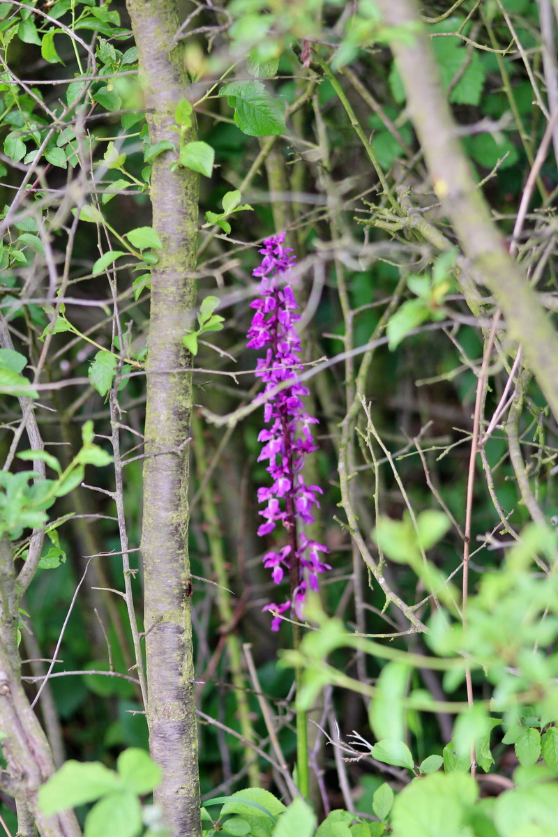 2014_04_27_00041270p_Bildgr��e �ndern