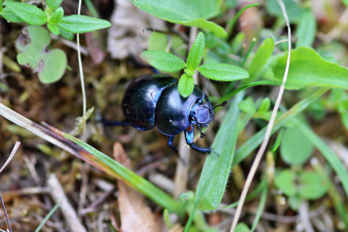 2014_04_27_00041305p_Bildgr��e �ndern