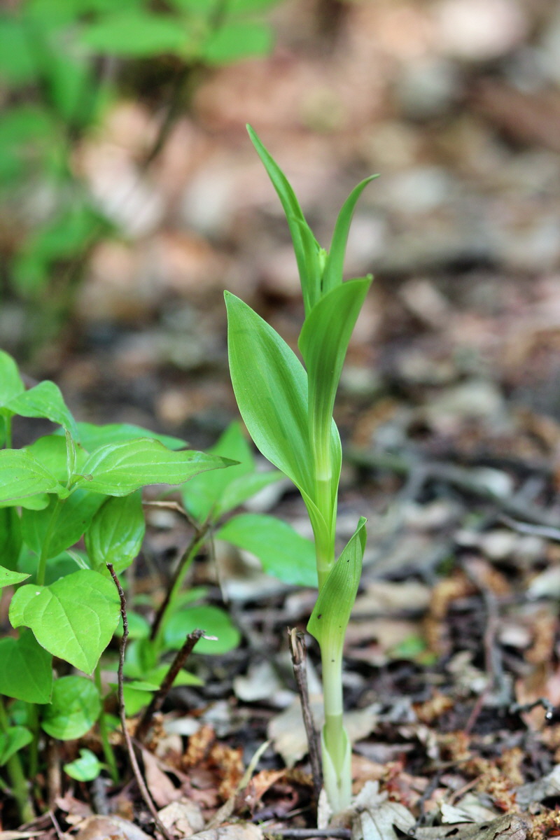 2014_04_27_00041310p_Bildgr��e �ndern