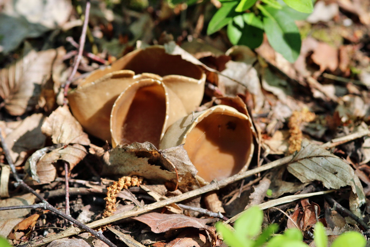 2014_04_27_00041315p_Bildgr��e �ndern