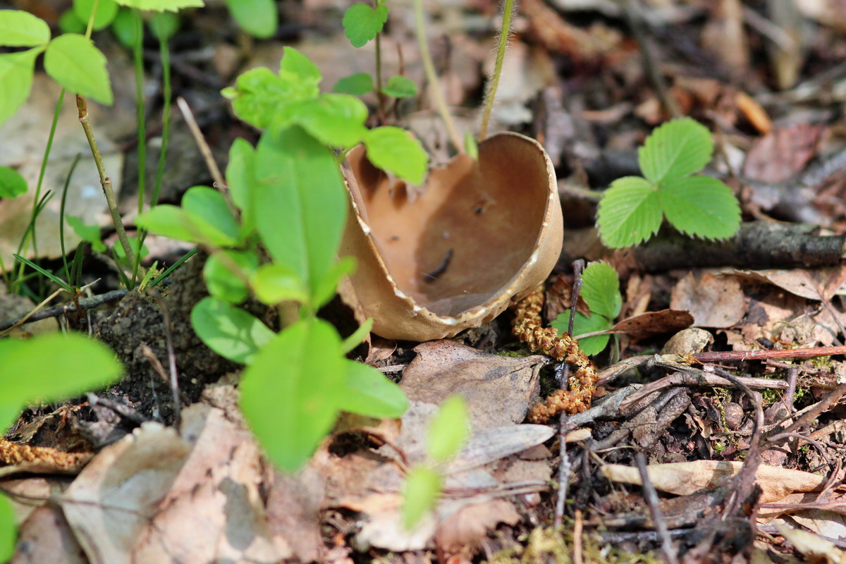 2014_04_27_00041317p_Bildgr��e �ndern