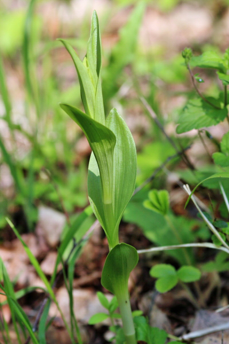 2014_04_27_00041320p_Bildgr��e �ndern