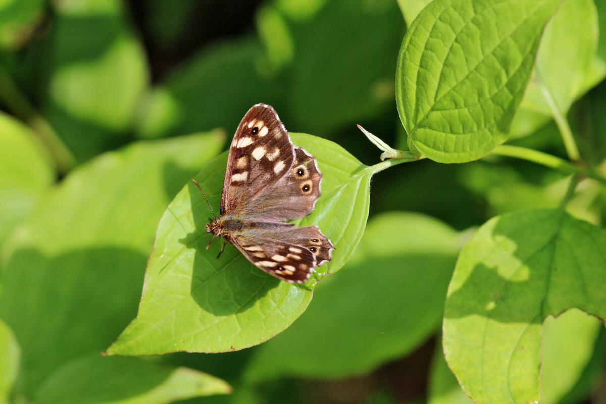 2014_04_27_00041332p_Bildgr��e �ndern