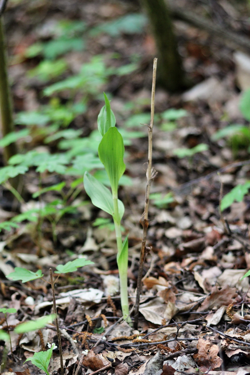 2014_04_27_00041338p_Bildgr��e �ndern