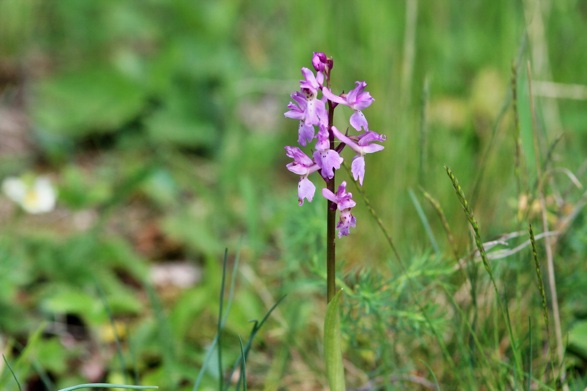 2014_04_27_00041344p_Bildgr��e �ndern