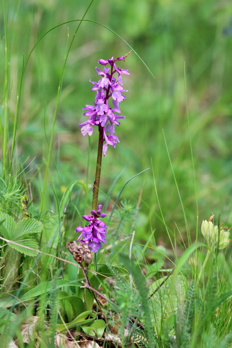 2014_04_27_00041348p_Bildgr��e �ndern