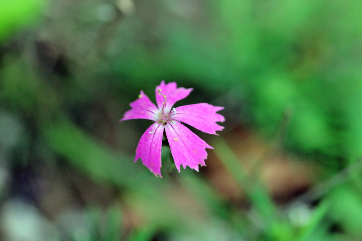 2014_04_27_00041353p_Bildgr��e �ndern