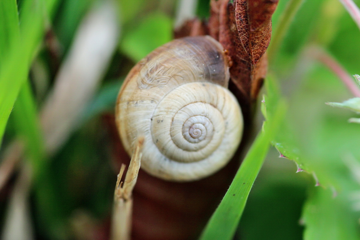 2014_04_27_00041367p_Bildgr��e �ndern