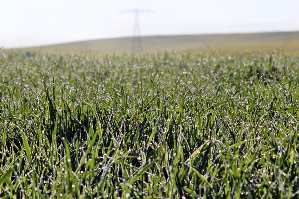 2014_04_29_00041373p_Bildgr��e �ndern