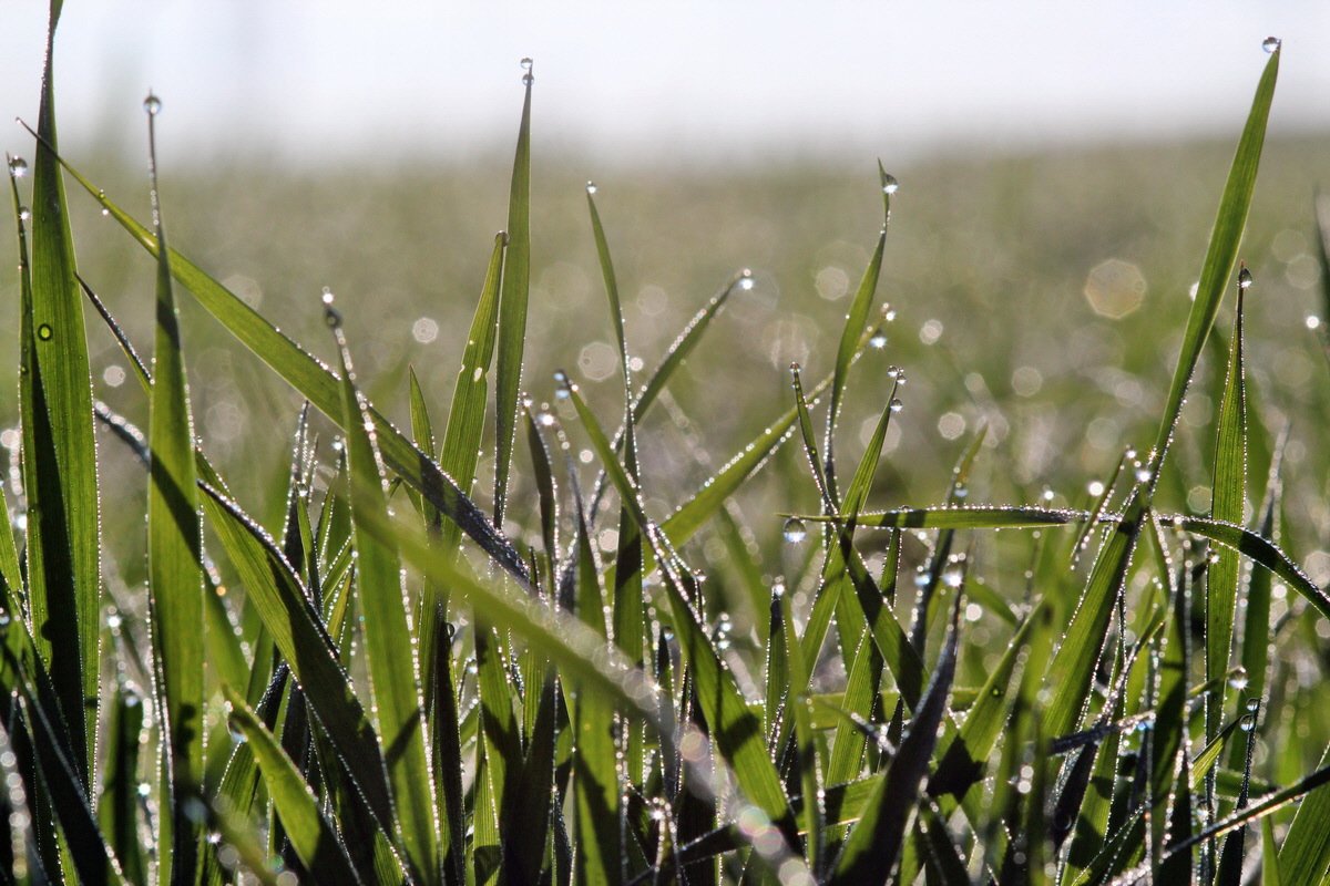 2014_04_29_00041375p_Bildgr��e �ndern