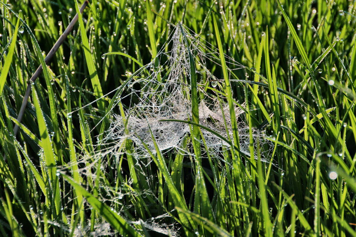 2014_04_29_00041381p_Bildgr��e �ndern