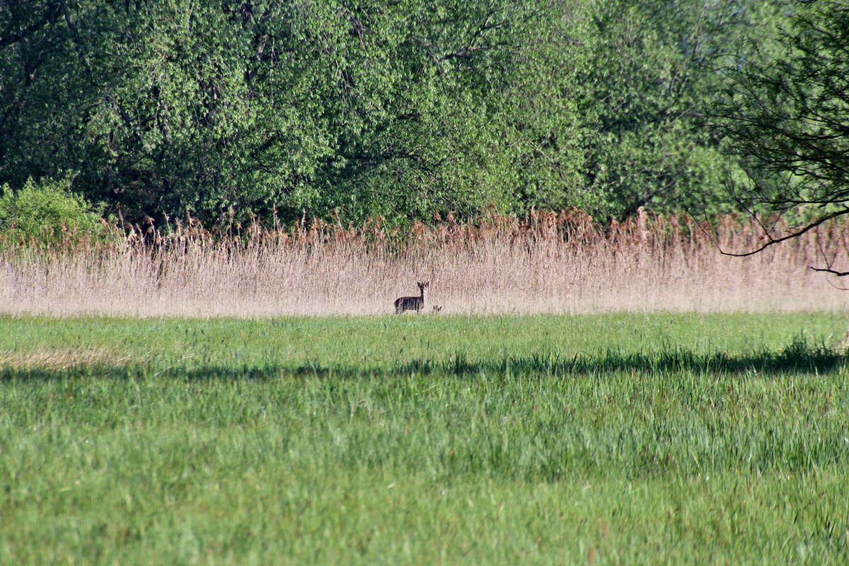 2014_04_29_00041387p_Bildgr��e �ndern