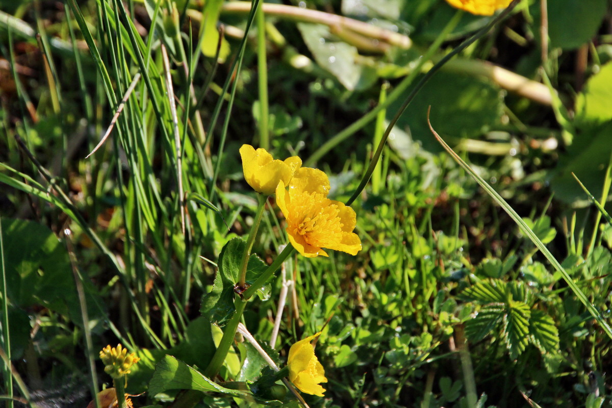 2014_04_29_00041405p_Bildgr��e �ndern