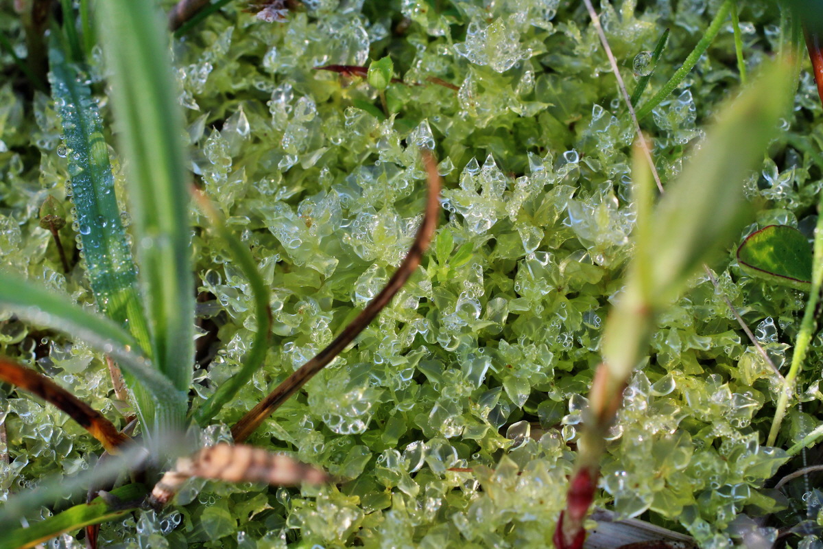 2014_04_29_00041417p_Bildgr��e �ndern