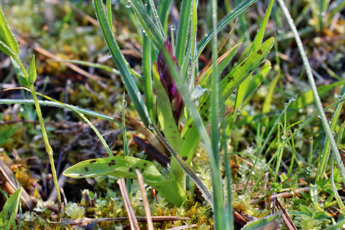 2014_04_29_00041421p_Bildgr��e �ndern