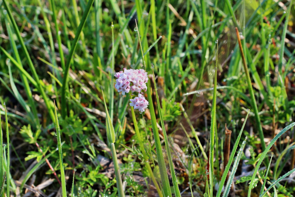 2014_04_29_00041422p_Bildgr��e �ndern