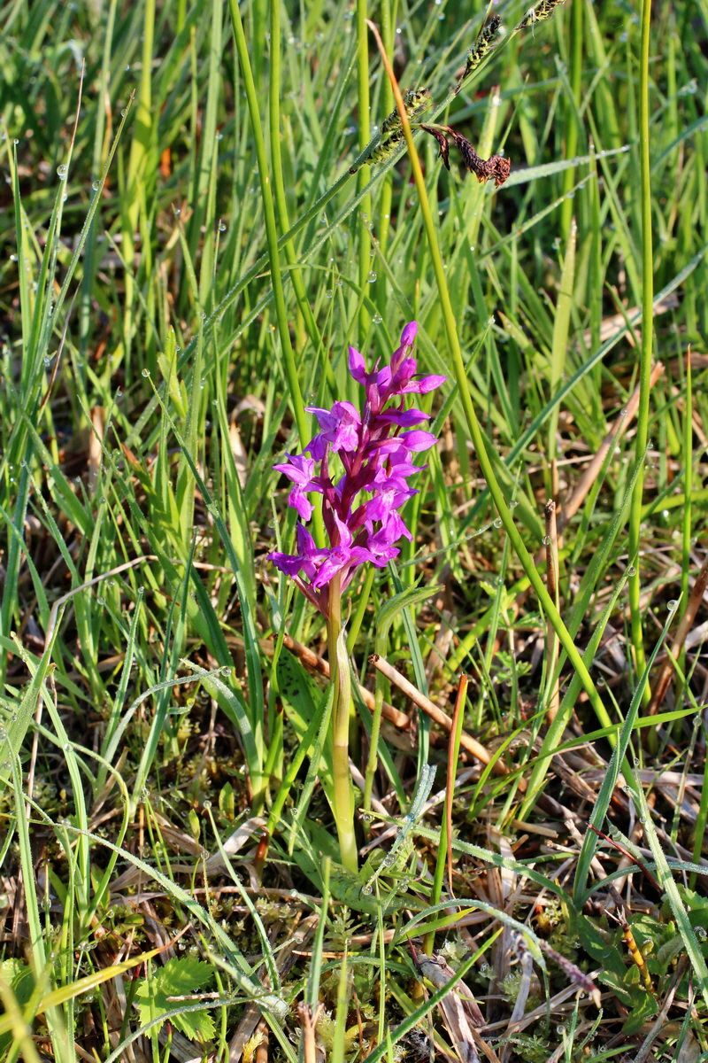 2014_04_29_00041427p_Bildgr��e �ndern