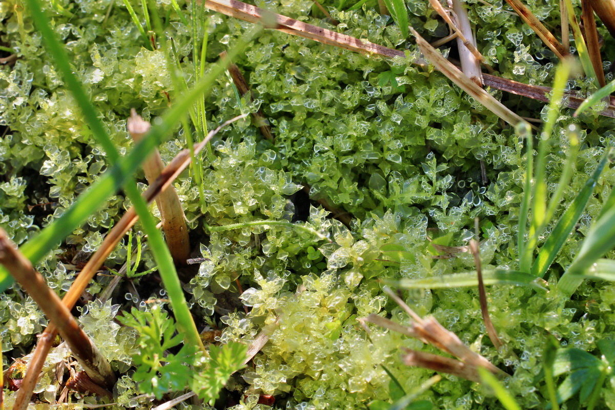 2014_04_29_00041433p_Bildgr��e �ndern