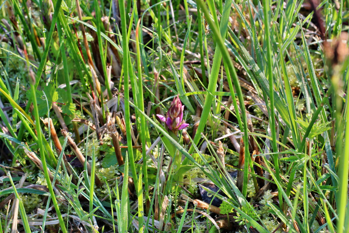 2014_04_29_00041435p_Bildgr��e �ndern