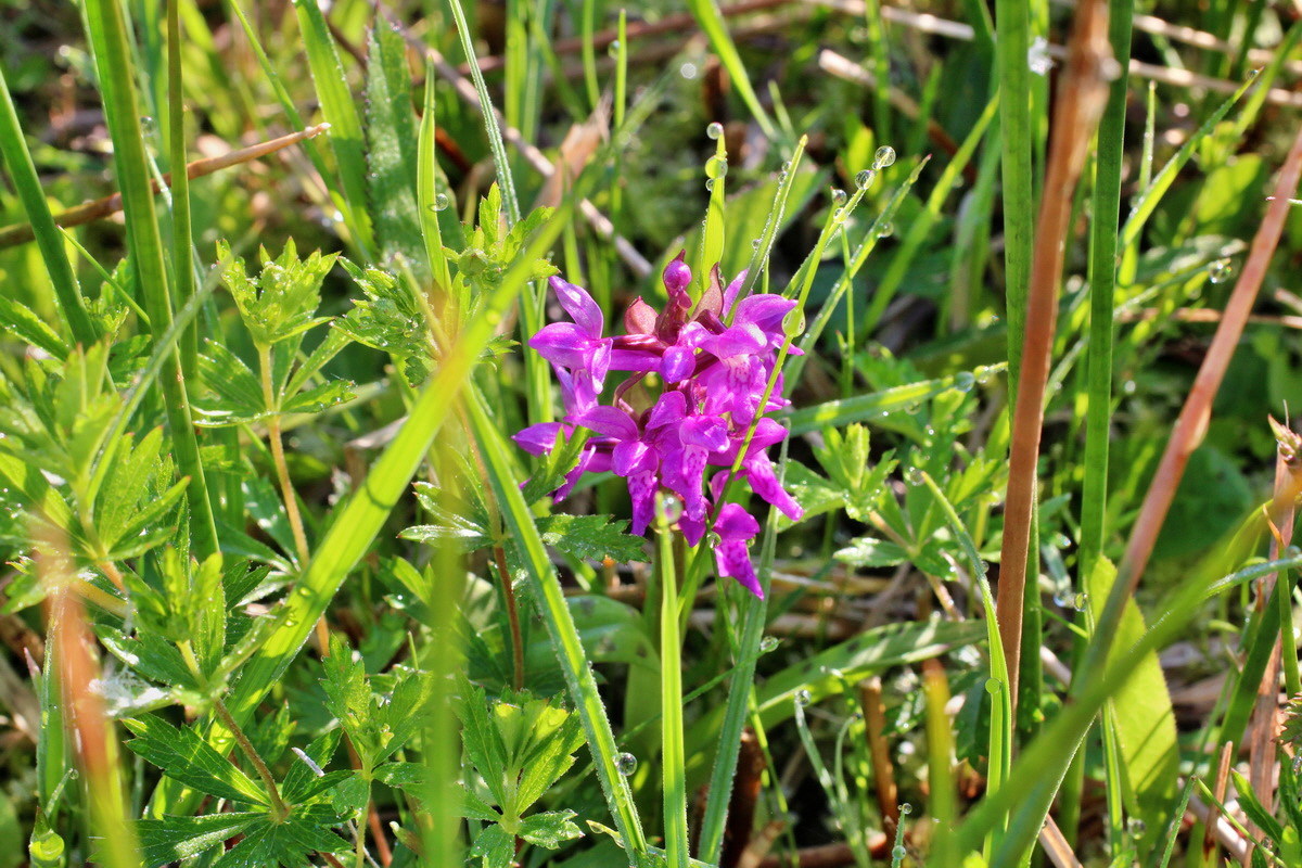 2014_04_29_00041441p_Bildgr��e �ndern