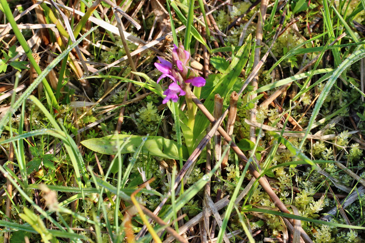 2014_04_29_00041445p_Bildgr��e �ndern