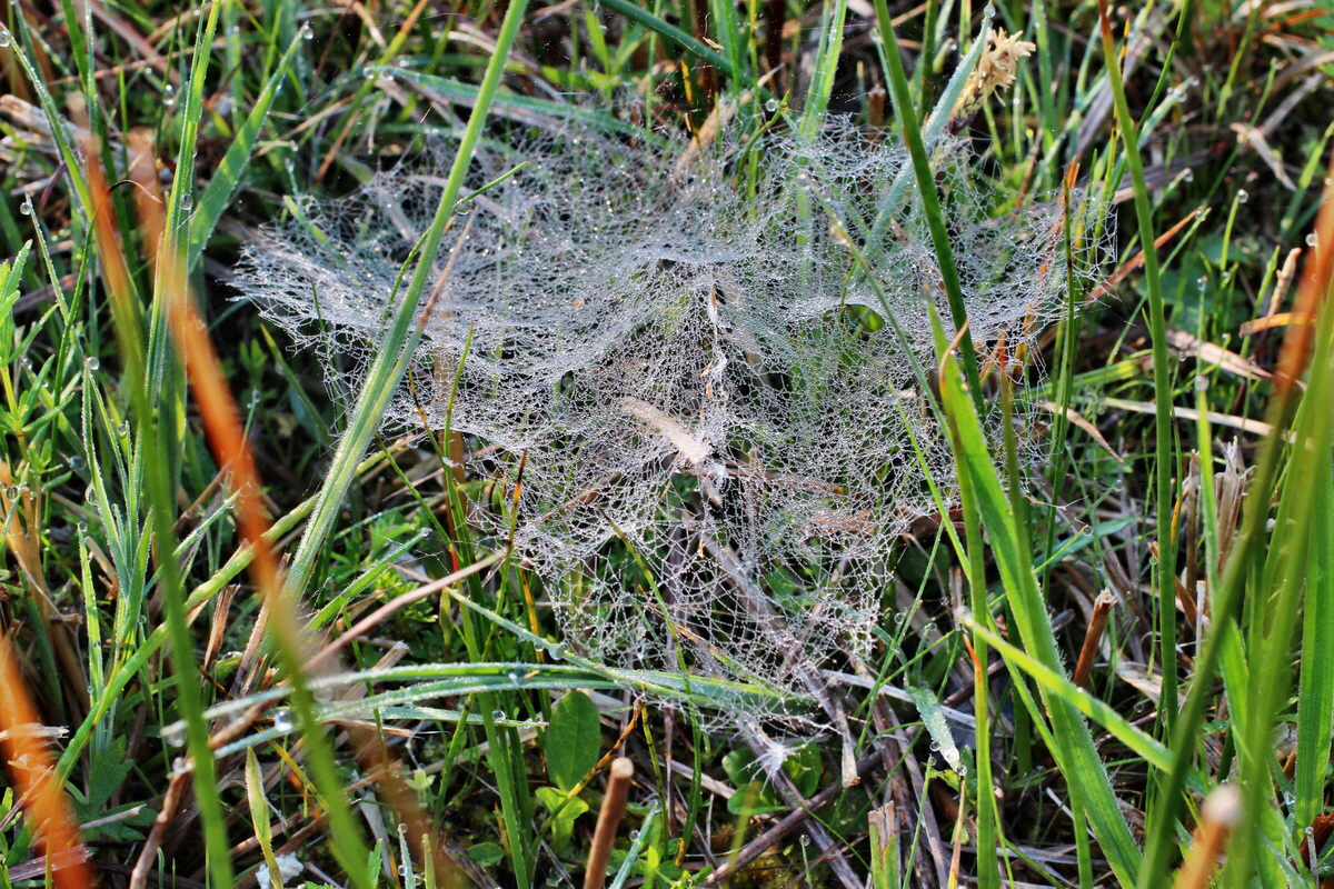 2014_04_29_00041446p_Bildgr��e �ndern