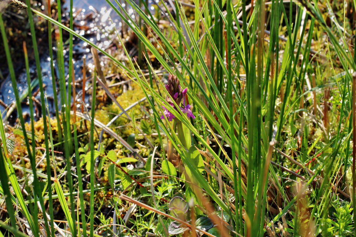 2014_04_29_00041449p_Bildgr��e �ndern