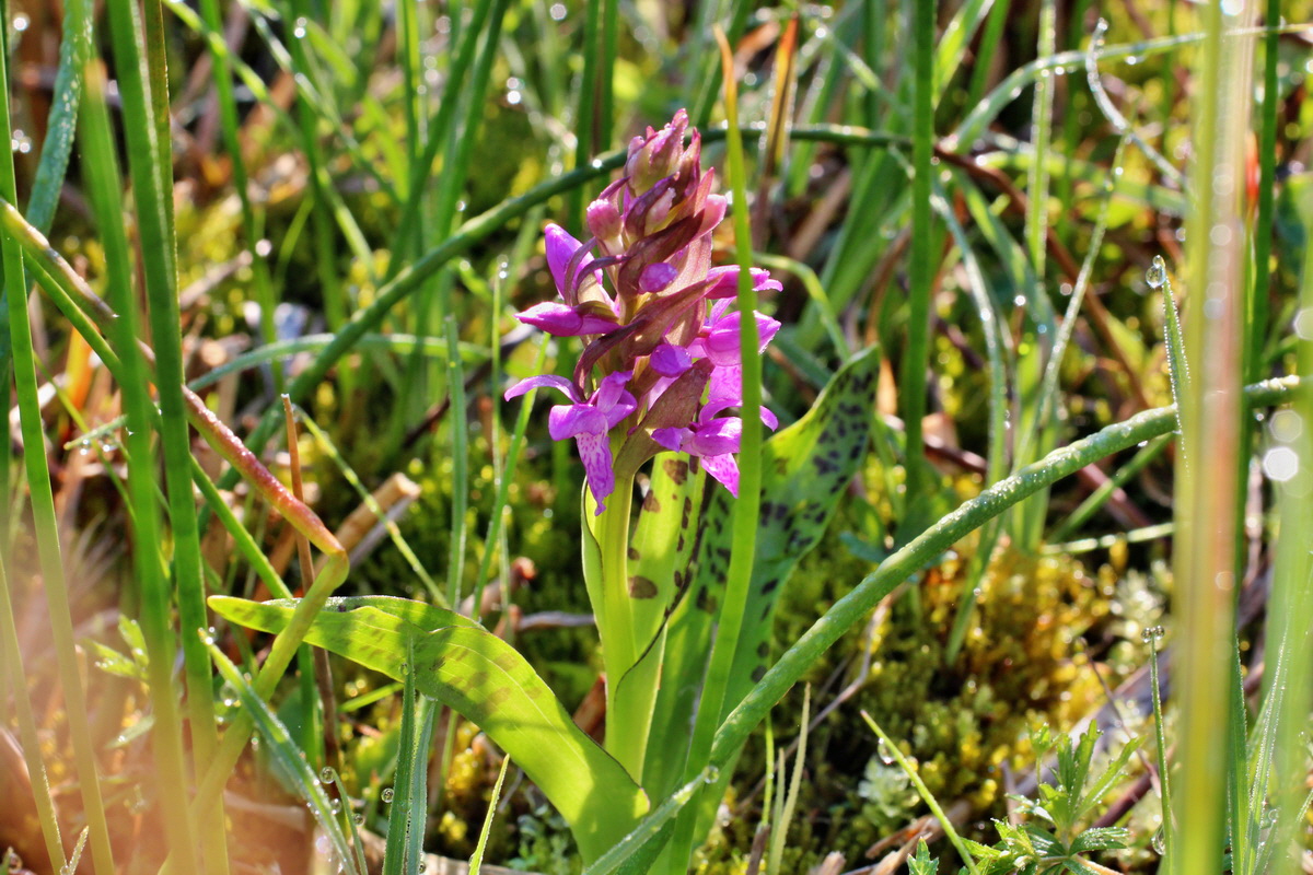 2014_04_29_00041455p_Bildgr��e �ndern