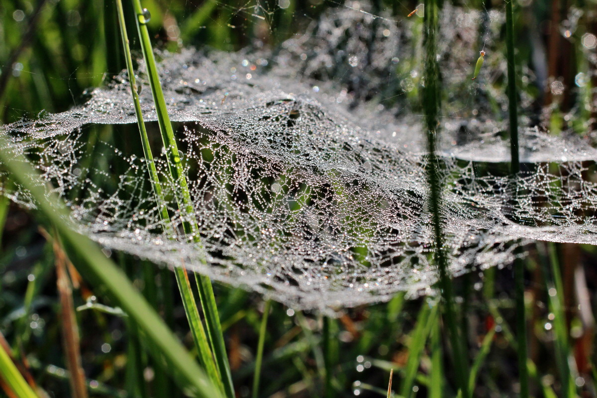 2014_04_29_00041461p_Bildgr��e �ndern