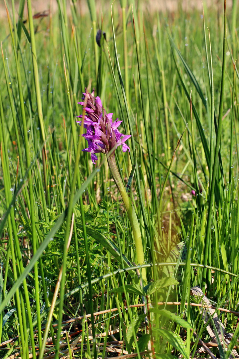 2014_04_29_00041465p_Bildgr��e �ndern