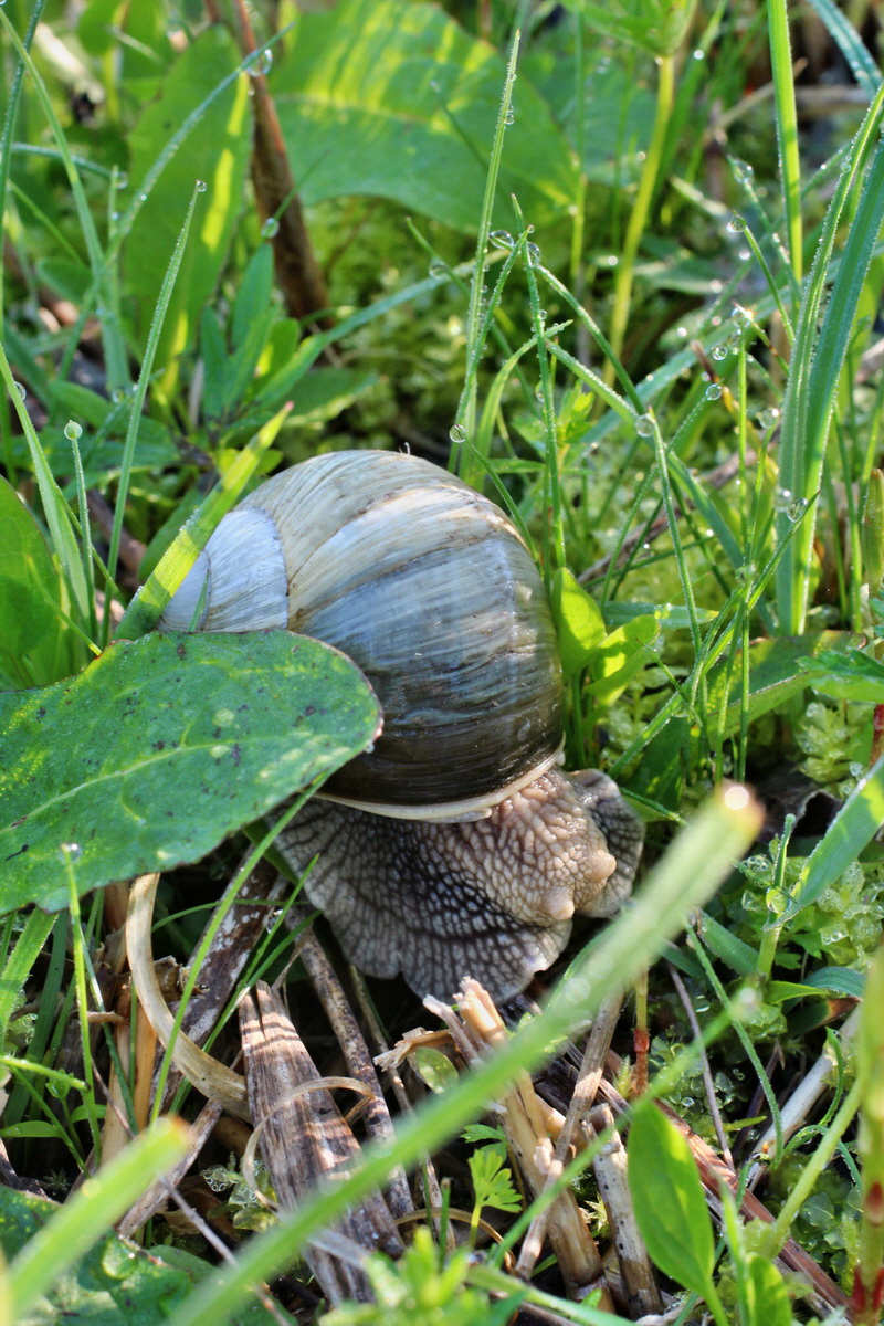 2014_04_29_00041468p_Bildgr��e �ndern