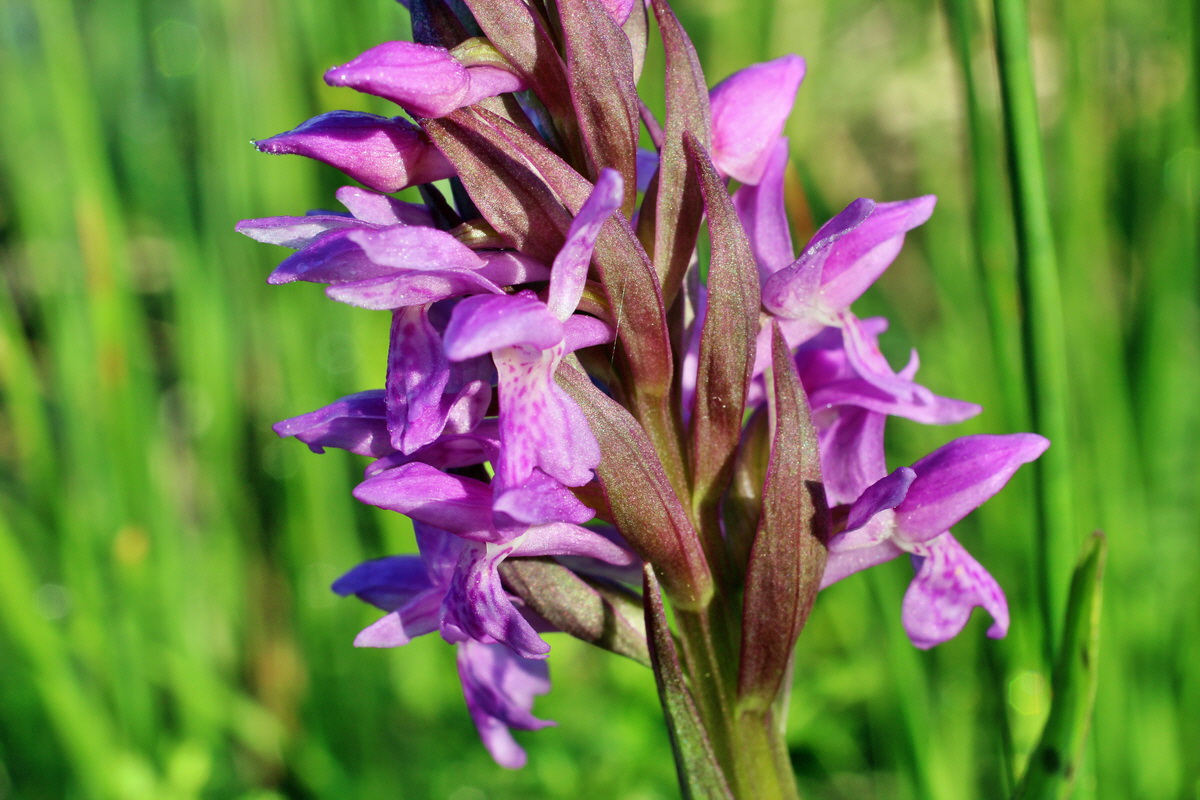 2014_04_29_00041471p_Bildgr��e �ndern