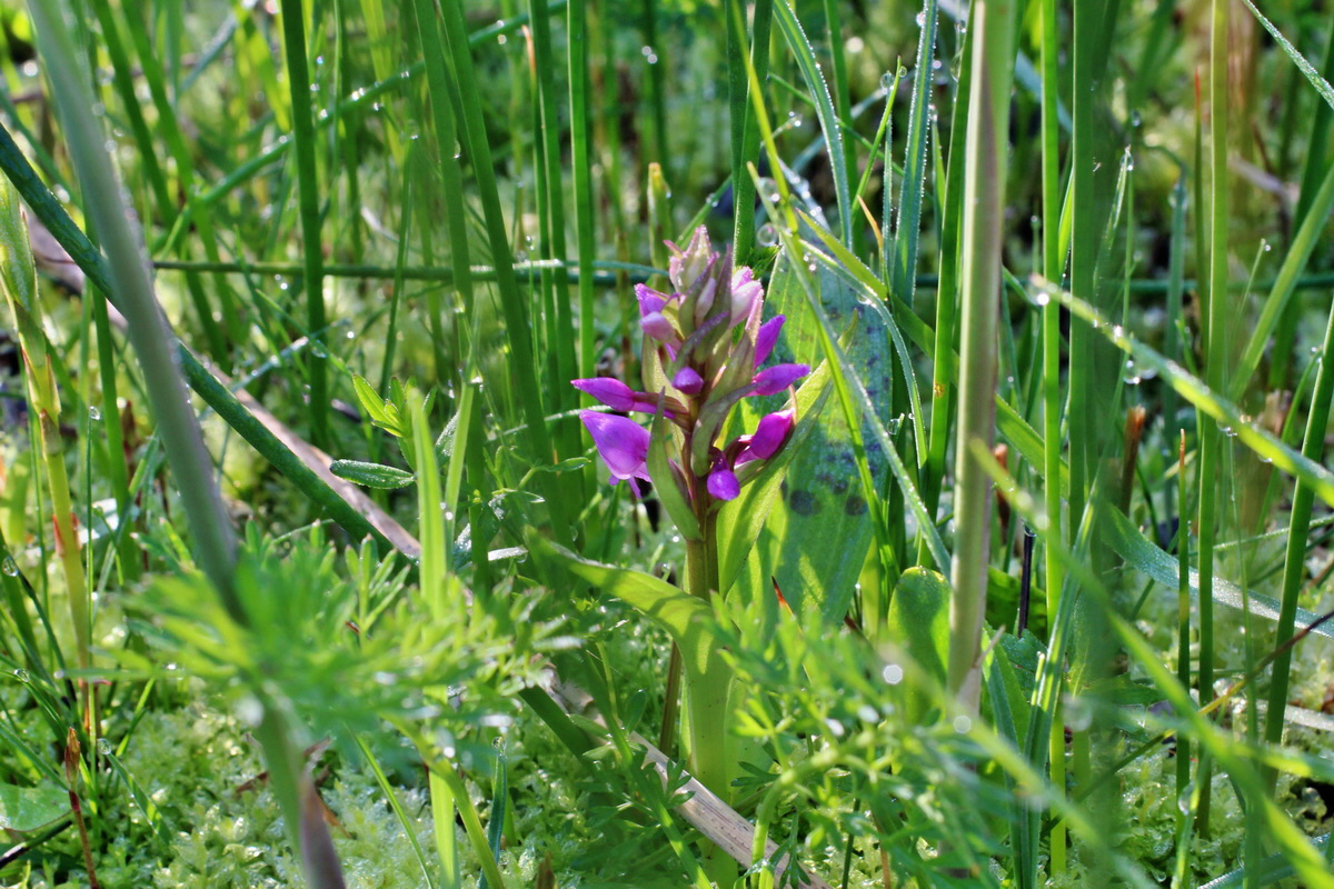 2014_04_29_00041474p_Bildgr��e �ndern