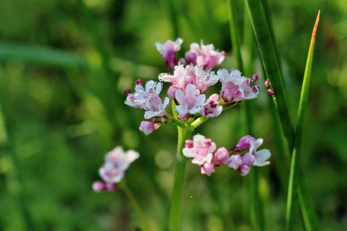 2014_04_29_00041478p_Bildgr��e �ndern