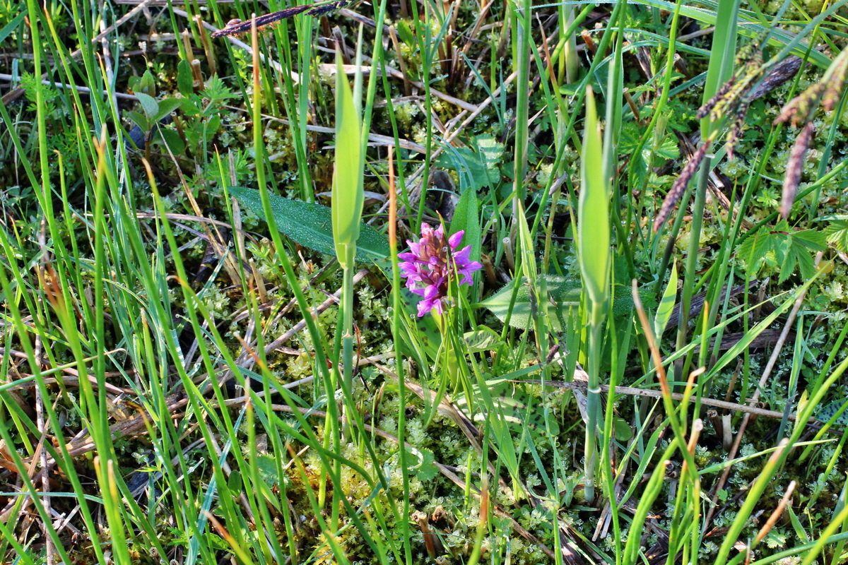 2014_04_29_00041485p_Bildgr��e �ndern