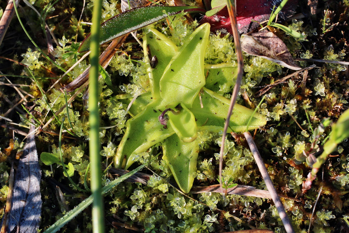 2014_04_29_00041487p_Bildgr��e �ndern