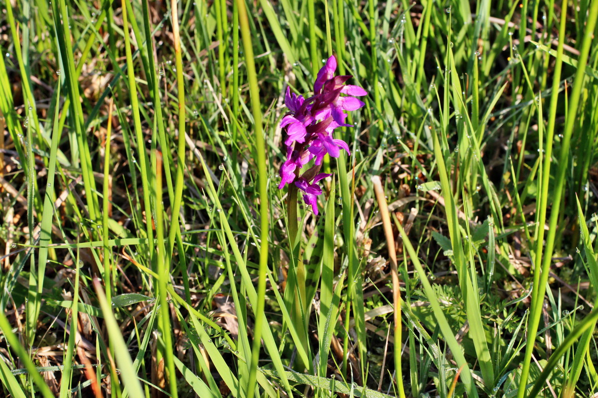 2014_04_29_00041492p_Bildgr��e �ndern