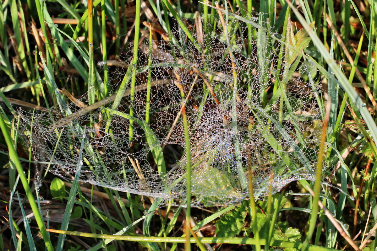 2014_04_29_00041500p_Bildgr��e �ndern