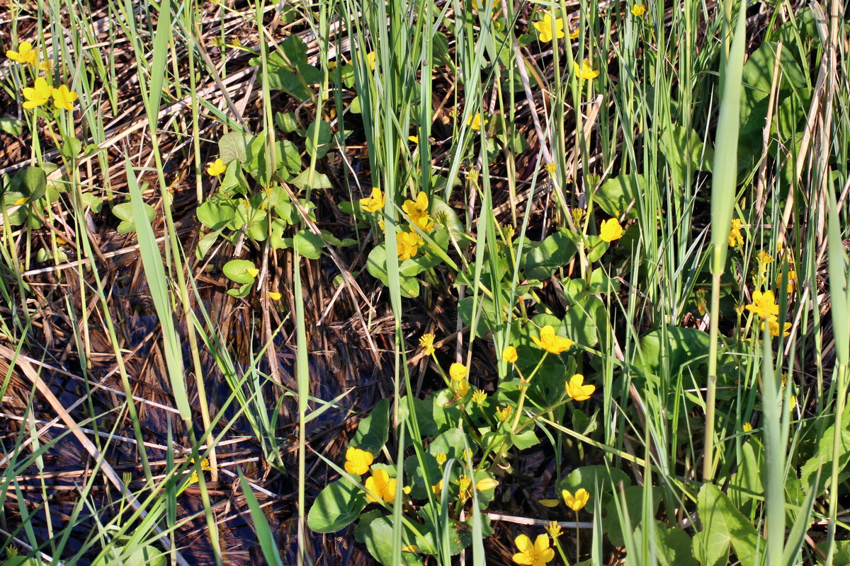 2014_04_29_00041513p_Bildgr��e �ndern