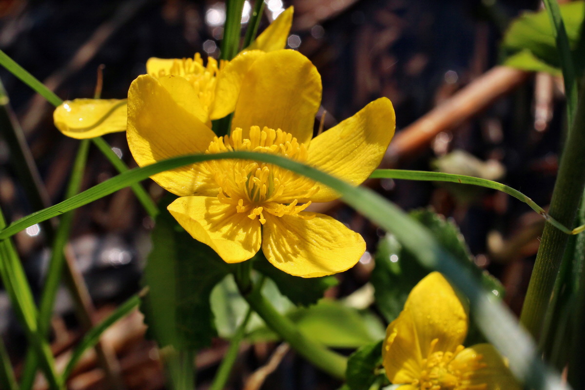 2014_04_29_00041515p_Bildgr��e �ndern