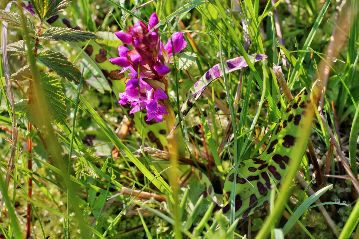 2014_04_29_00041520p_Bildgr��e �ndern