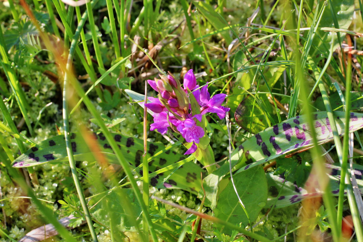 2014_04_29_00041524p_Bildgr��e �ndern