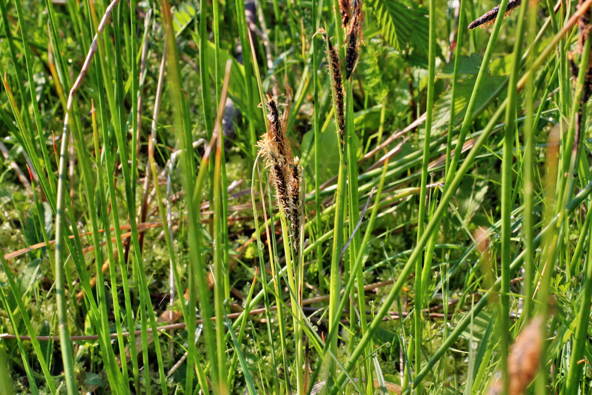 2014_04_29_00041528p_Bildgr��e �ndern